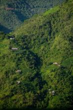 (फोटो - Beesuu Photography)