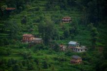 (फोटो - Beesuu Photography)