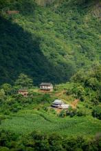 (फोटो - Beesuu Photography)