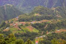 (फोटो - Beesuu Photography)